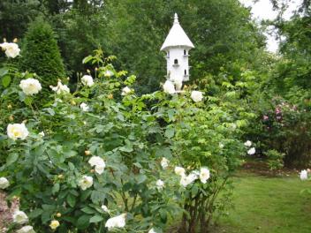 Avon Cottage Avondale Nursery