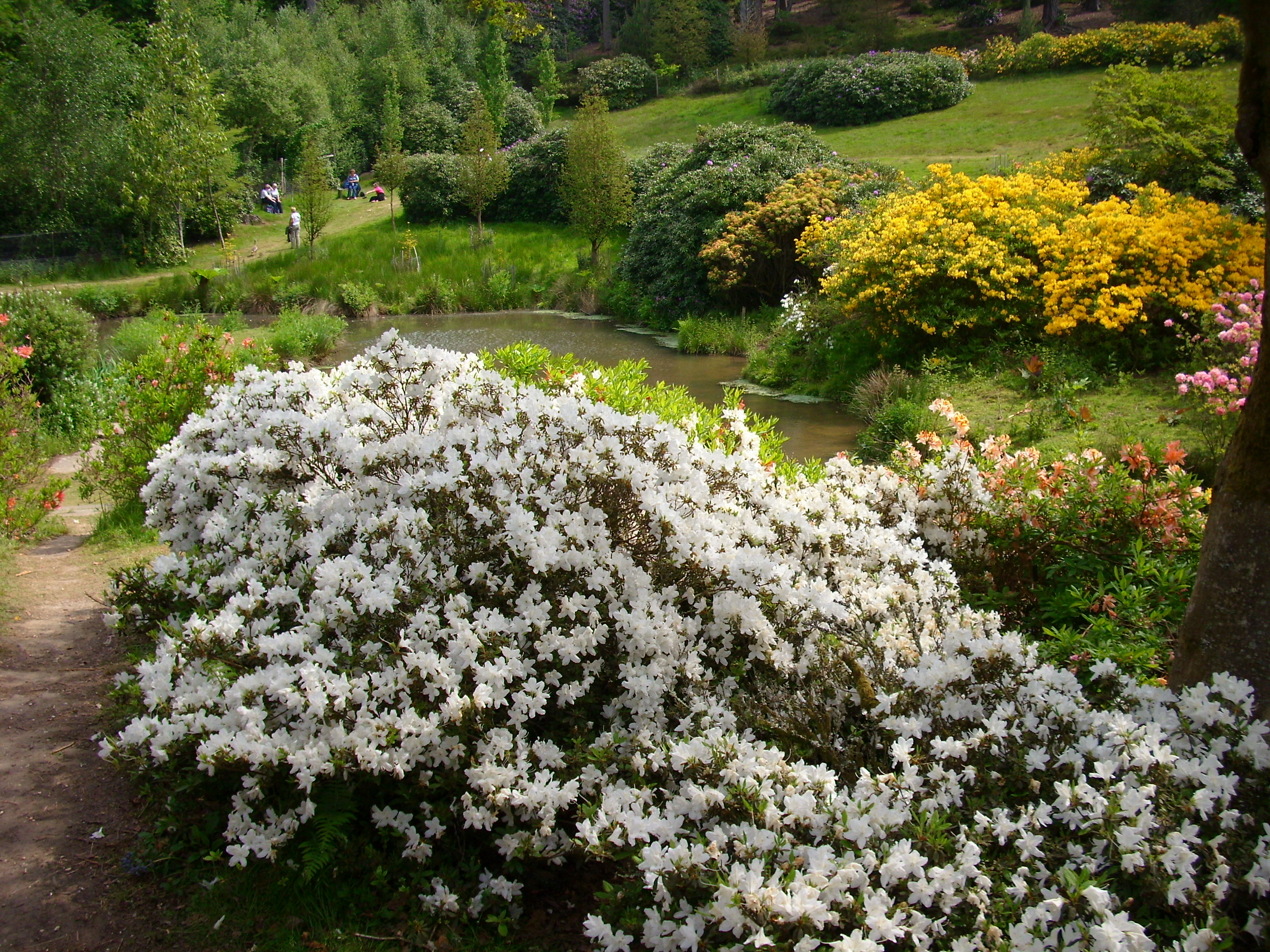 High Beeches