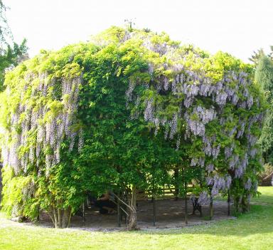 Wakehurst Place