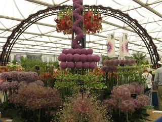 Chelsea Flower Show 2017