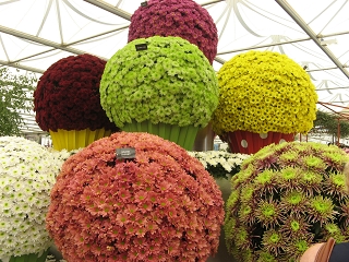 Chelsea Flower Show 2017