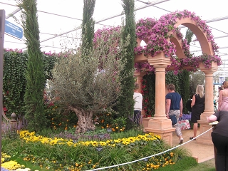 Chelsea Flower Show 2017