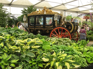 Chelsea Flower Show 2017