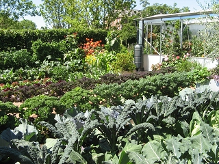 Chelsea Flower Show 2017 Chris Evens Taste Garden