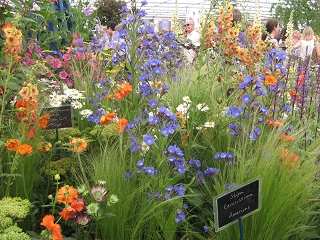 Chelsea Flower Show 2017