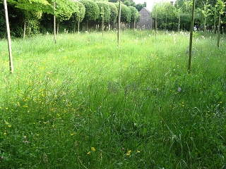 Clinton Lodge Garden