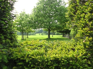 Clinton Lodge Garden