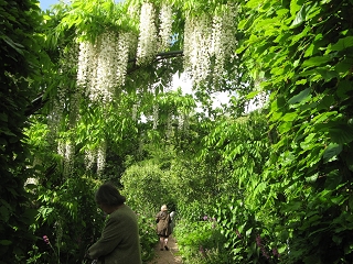 Clinton Lodge Garden