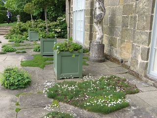 Clinton Lodge Garden