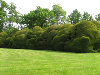 Doddington Place Garden England