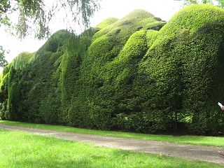 Doddington Place Garden England