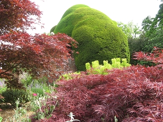 Doddington Place Garden England