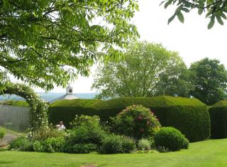 Downs Court Garden