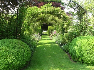 Downs Court Garden