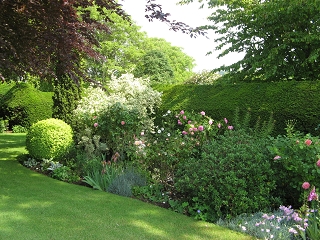 Downs Court Garden