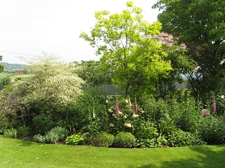 Downs Court Garden