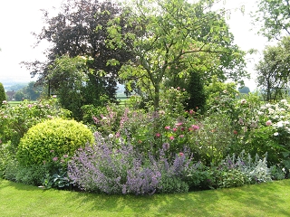 Downs Court Garden