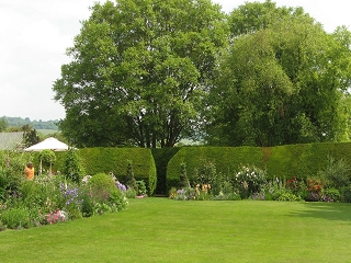 Downs Court Garden