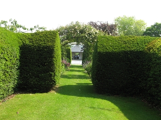 Downs Court Garden