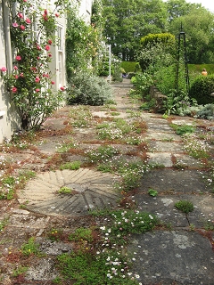 Downs Court Garden