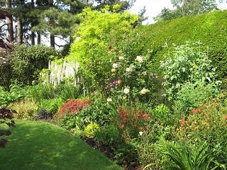 Downs Court Garden