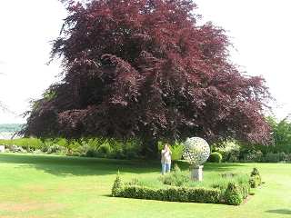 Downs Court Garden