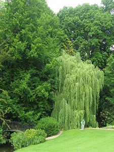 Pasley Manor Garden