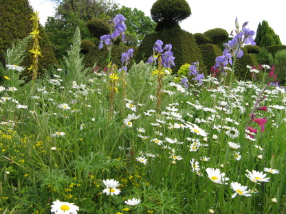 Great Dixter