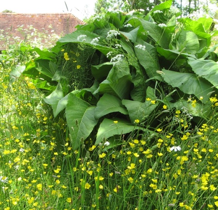 Great Dixter