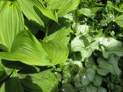 Great Dixter