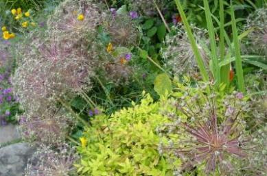 Great Dixter