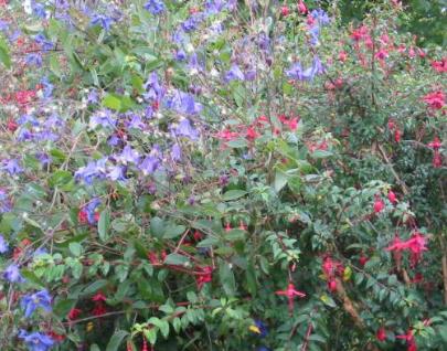 Great Dixter