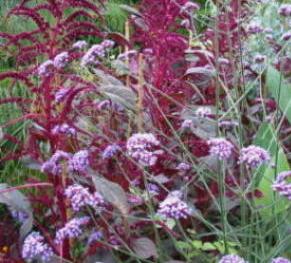 Great Dixter