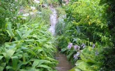 Great Dixter