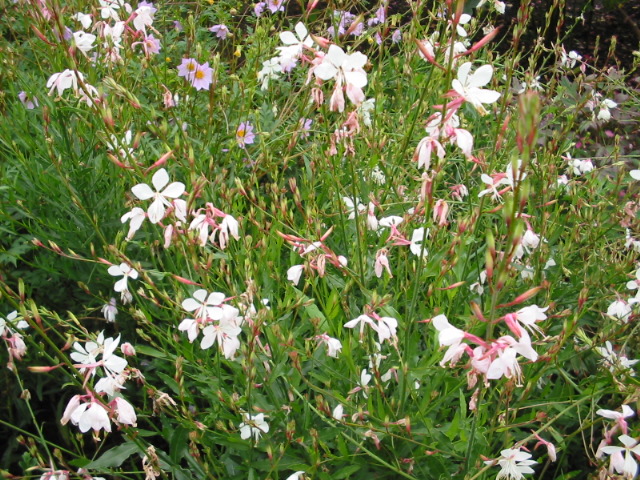 Sissinghurst Garten