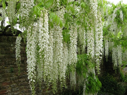 Sissinghurst Garten