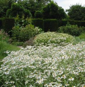 Sissinghurst Garten