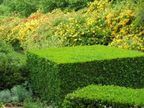 Sissinghurst Garten