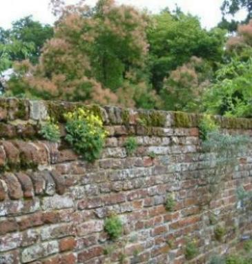 Sissinghurst