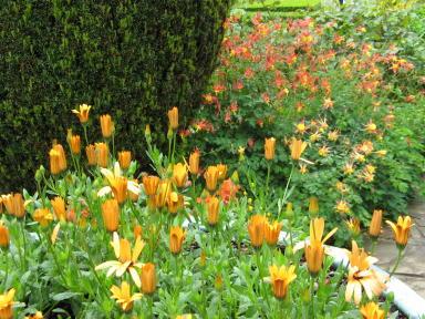 Sissinghurst Garten