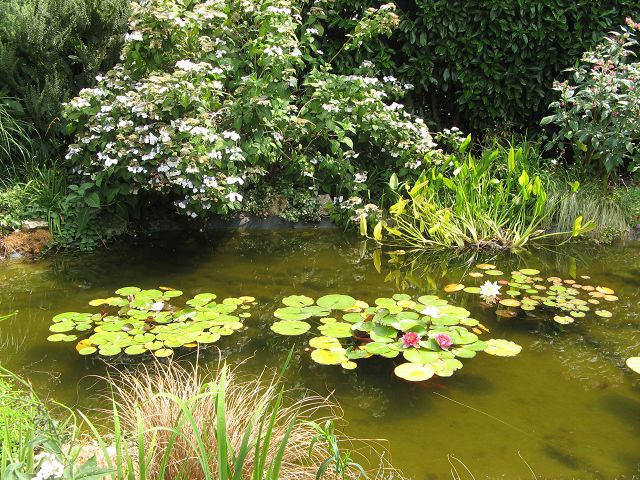 Jardin Angelique