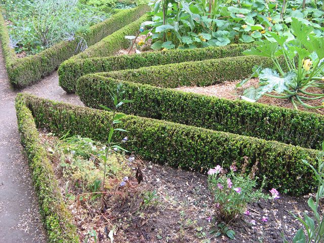 Jardin de Chateau Digeon