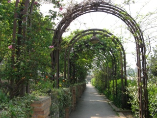 Paris für Gartenfreunde