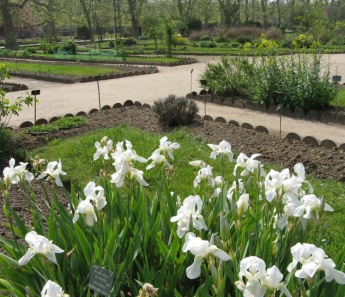 Paris für Gartenfreunde