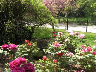 Paris für Gartenfreunde