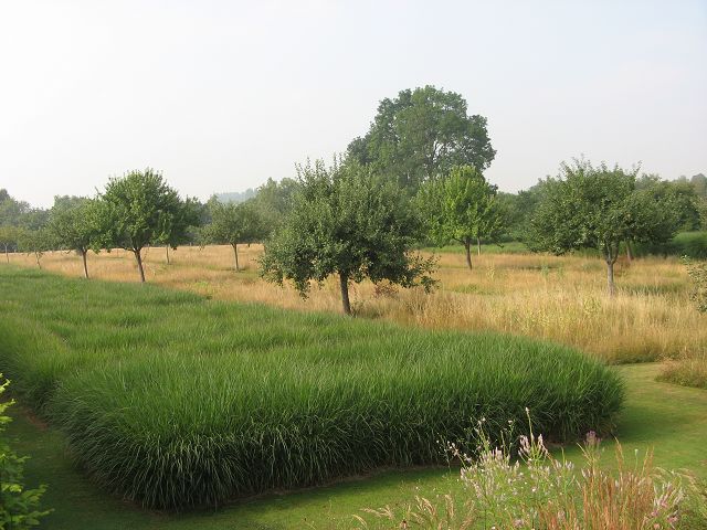 Jardin Plume Federgarten