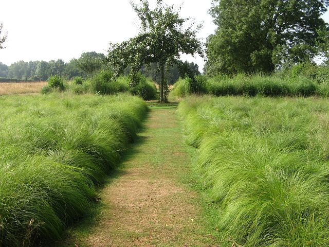 Jardin Plume Federgarten