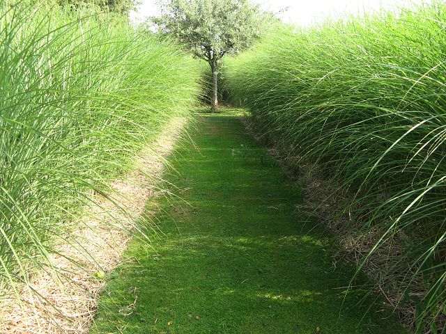 Jardin Plume Federgarten