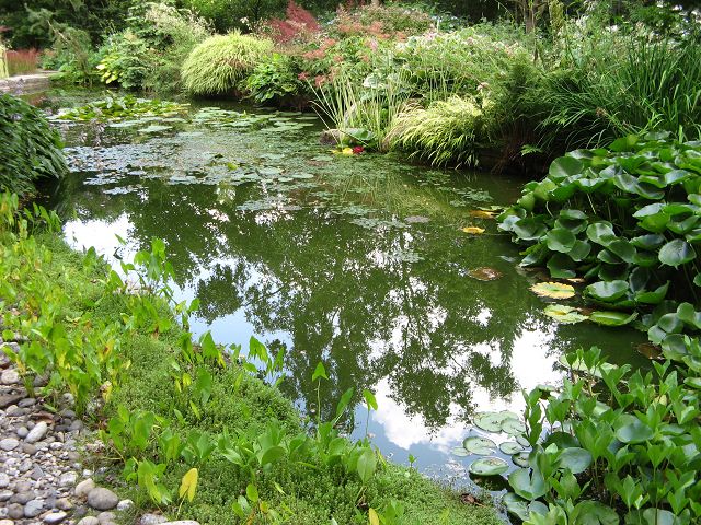 Jardin de Valerianes