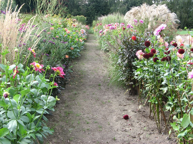 Tuin Verheggen Lottum Fotos Bilder Von Unseren Gartenreisen
